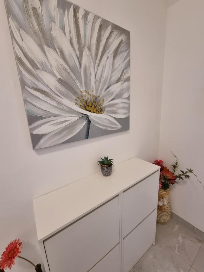 Apartments Lili บีโอกราดนาโมรู ภายนอก รูปภาพ